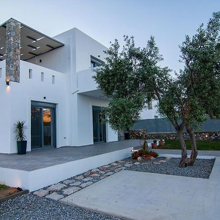 Livis Luxury Villa Киотари Экстерьер фото