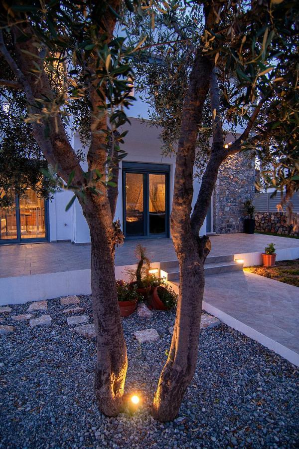 Livis Luxury Villa Киотари Экстерьер фото